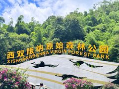 -西双版纳原始森林公园