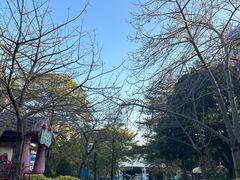 -史努比缤纷世界