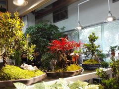 -双季花艺园艺市场(浦东店)