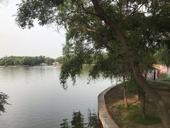 -北陵公园