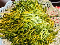 豆苗-捞神煲汤火锅(湖滨商业街店)