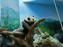-武汉动物园