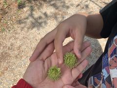 -南京市无想山景区