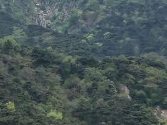 -泰山风景名胜区