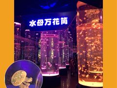 -海合安成都极地海洋公园