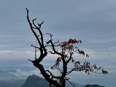 -青城山