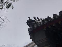 -白云观