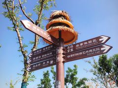 -上海长兴岛郊野公园