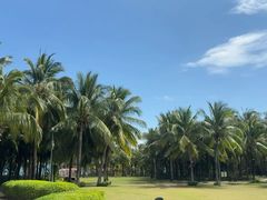 -三亚海棠湾喜来登度假酒店