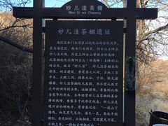 -阳台山自然风景区