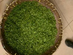 -长兴慧子土特产茶行