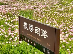 -汉长安城未央宫国家考古遗址公园