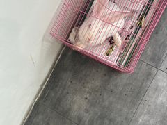 -岳合轩老北京涮肉