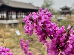 -水西公园