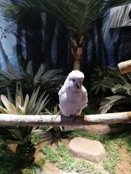 点击看大图 -酷嗒动物文化乐园(cutezoo西溪乐天城店)