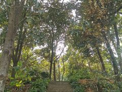 -中山市树木园
