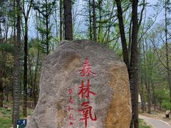 -洛阳白云山景区