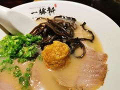 -一豚轩·烧鸟·豚骨拉面(五四路店)