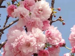 -观澜湖生态运动公社