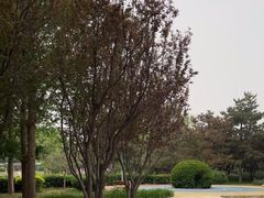 -元大都城垣遗址公园