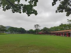 -顺峰山公园