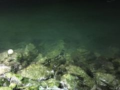 -越海渔村