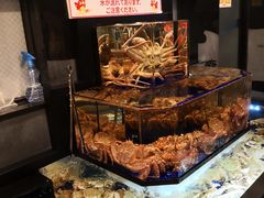 -蟹道乐(道顿堀本店)