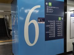 -水之惠鲜鱼料理(王府大街店)