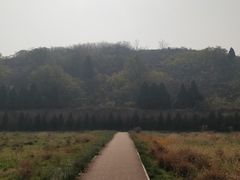 -汉景帝阳陵博物院