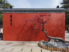 -华清宫景区