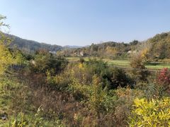 -千年银杏谷文化旅游区