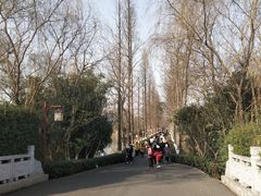 -洋湖国家湿地公园