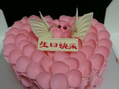android_upload_pic-BLACKSWAN黑天鹅(环球店)