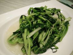 -朝郡酒家·粤菜(燕大星苑店)