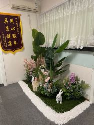 -寇氏减肥