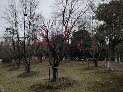 -南湖湿地公园