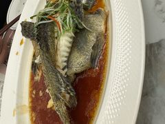 -小海丁