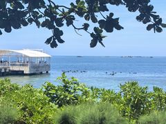 -三亚西岛海洋文化旅游区