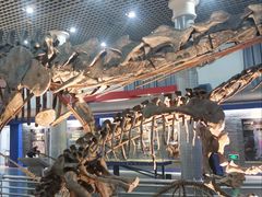 -国家自然博物馆