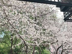 -玛格萝妮比萨屋(四平店)