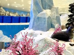 -湘江欢乐城欢乐雪域