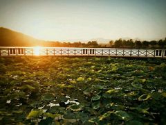 -北京宽沟会议中心