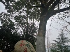 -三江森林温泉度假区