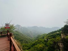 -大岭沟猕猴桃谷风景区