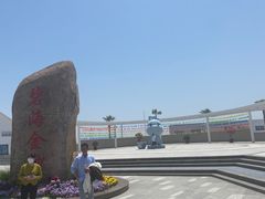 -碧海金沙