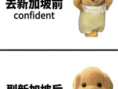 -樟宜机场免税店