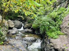 -云岫谷游猎自然风景区