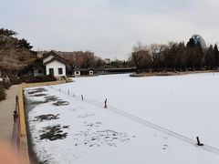 -团结湖公园