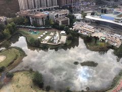-花果园湿地公园