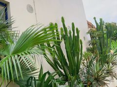 -厦门邮轮中心厦鼓码头(轮渡站)